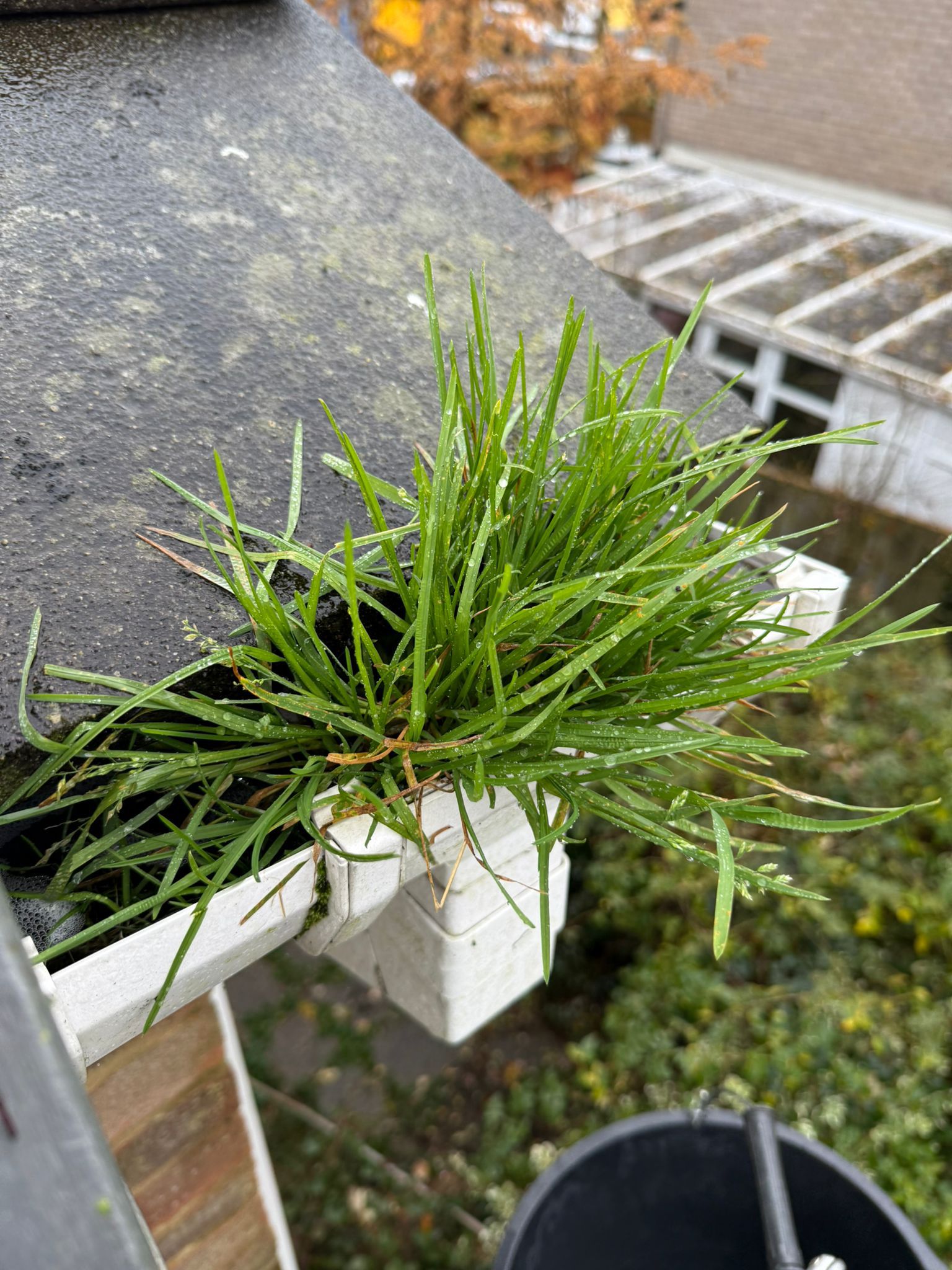 Blocked gutter downpipe in Stotfold